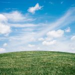 Air Purifying Plants - landscape of grass field under blue sky