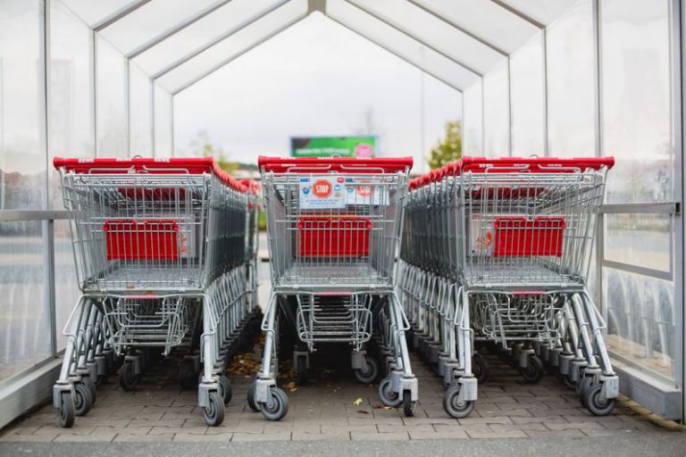 Impulse Buying - gray and red shopping carts