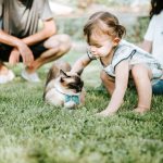 Family Outdoor - girl in blue denim dungaree sitting on green grass field with brown and white short coated