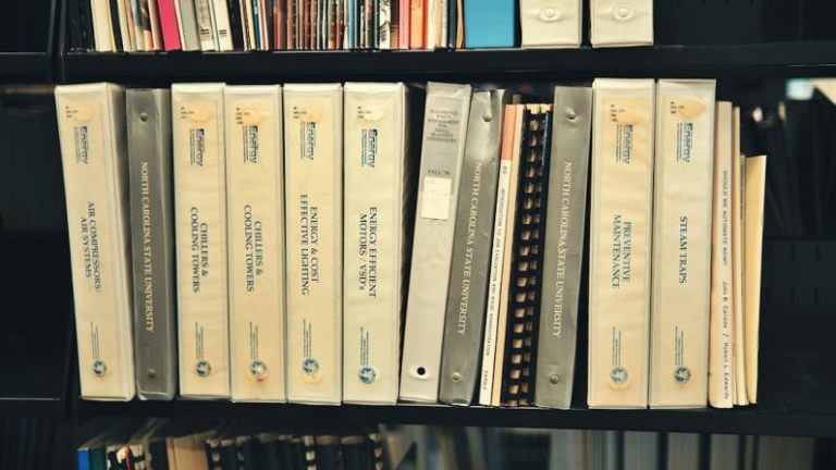 Classic Novels - a book shelf filled with lots of books