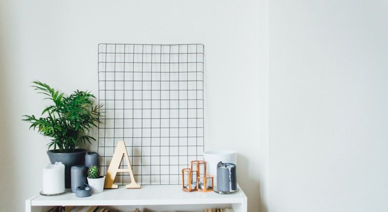 DIY Wall Art - potted plants on table