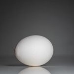 Baking Basics - a white egg sitting on top of a table
