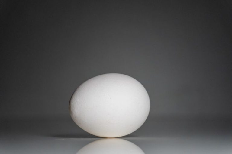 Baking Basics - a white egg sitting on top of a table