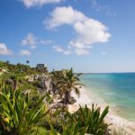 Underrated Destinations - a view of a beach with palm trees and the ocean in the background