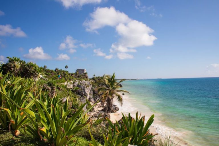 Underrated Destinations - a view of a beach with palm trees and the ocean in the background