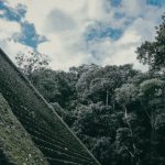 Backpacking South America - concrete stairs near green trees during daytime