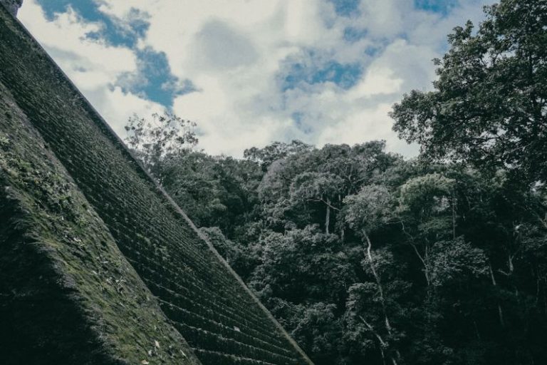 Backpacking South America - concrete stairs near green trees during daytime